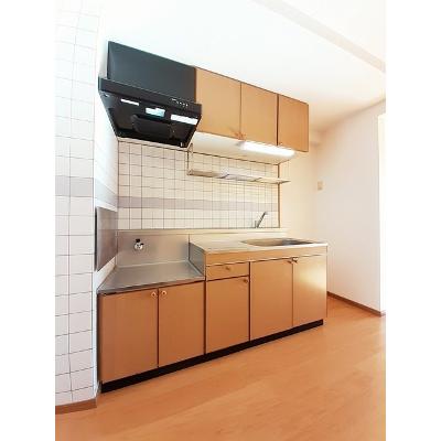 昭和エクセランマンション 202【管理NO：1-009418601-02020】 ★家具家電は申し込み後に搬入します★ ★2026年09月下旬入居可能★の物件写真3