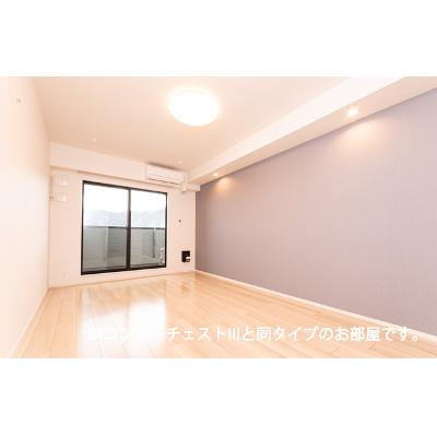ヒカルサ川口里 303【管理NO：1-028667201-03030】 ★家具家電は申し込み後に搬入します★ ★2026年12月下旬入居可能★の物件写真2