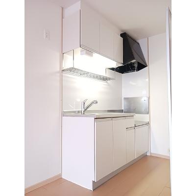 エルディムおおすみＡ 206【管理NO：1-002115101-02050】 ★家具家電は申し込み後に搬入します★の物件写真3