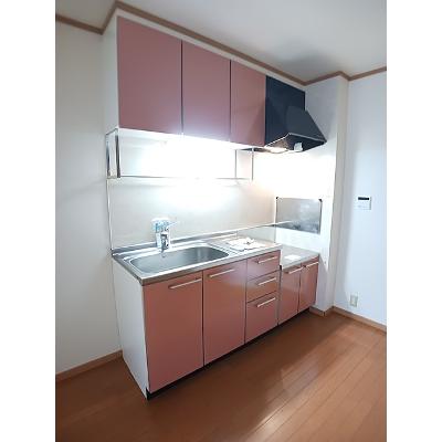 レジデント１０８４ 101【管理NO：1-012606201-01010】 ★家具家電は申し込み後に搬入します★の物件写真3