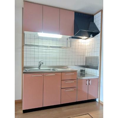 カロータ　ロッソⅠ 102【管理NO：1-012706701-01020】 ★家具家電は申し込み後に搬入します★ ★2026年09月下旬入居可能★の物件写真3