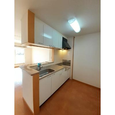 ノーブルＲ・Ｓ　Ａ 203【管理NO：1-013703101-02030】 ★家具家電は申し込み後に搬入します★ ★2026年09月中旬入居可能★の物件写真3