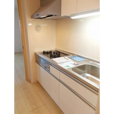 カーサ　フィーネ 302【管理NO：1-019078201-03020】 ★家具家電は申し込み後に搬入します★の物件写真3