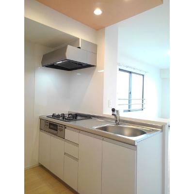 メイプルコート 301【管理NO：1-025177701-03010】 ★家具家電は申し込み後に搬入します★ ★2026年09月上旬入居可能★の物件写真3