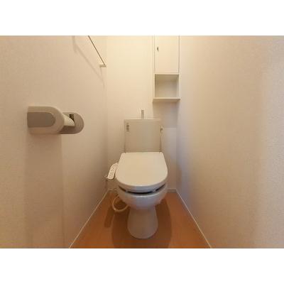 エムティハウスⅢ 204【管理NO：1-021291603-02040】 ★家具家電は申し込み後に搬入します★の物件写真5