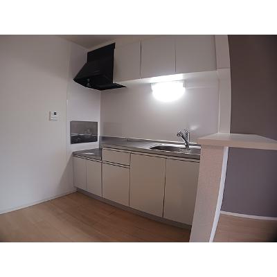 ラフォーレⅡ 203【管理NO：1-022256002-02030】 ★家具家電は申し込み後に搬入します★の物件写真3