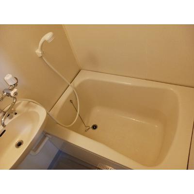 エルディム稲和Ａ 201【管理NO：1-003916201-02010】 ★家具家電は申し込み後に搬入します★の物件写真4