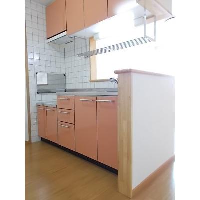 ベルフラワー鳥越 203【管理NO：1-012132201-02030】 ★家具家電は申し込み後に搬入します★ ★2026年09月下旬入居可能★の物件写真3
