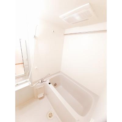 ブリーゼ 203【管理NO：1-014235501-02030】 ★家具家電は申し込み後に搬入します★ ★2026年10月上旬入居可能★の物件写真4