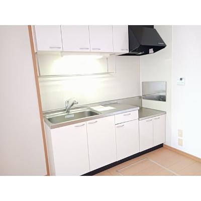 シェーネ・パラッツオＤ 101【管理NO：1-015219004-01010】 ★家具家電は申し込み後に搬入します★ ★2026年09月下旬入居可能★の物件写真3