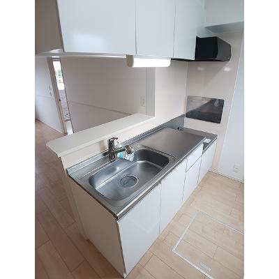 プレミアムⅡ 101【管理NO：1-022666102-01010】 ★家具家電は申し込み後に搬入します★の物件写真3