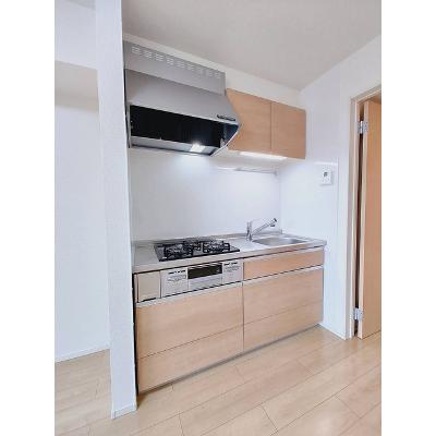 プレシス中津Ⅱ 204【管理NO：1-024601502-02040】 ★家具家電は申し込み後に搬入します★の物件写真3