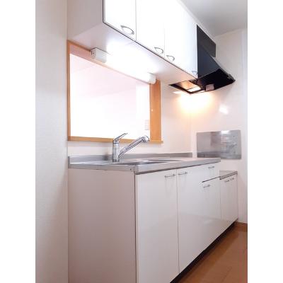 グランデ・フィオーレ 203【管理NO：1-014335801-02030】 ★家具家電は申し込み後に搬入します★ ★2026年10月上旬入居可能★の物件写真3