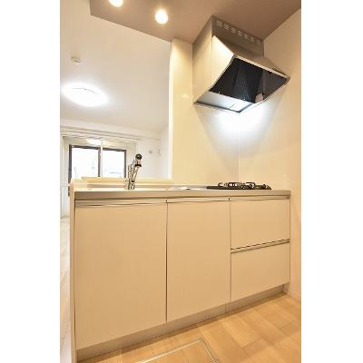 ラフィネＳＫＭ－Ⅲ 107【管理NO：1-026048902-01060】 ★家具家電は申し込み後に搬入します★の物件写真3