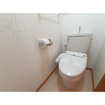 メゾンリヴェール 203【管理NO：1-015267201-02030】 ★家具家電は申し込み後に搬入します★ ★2026年10月中旬入居可能★の物件写真5
