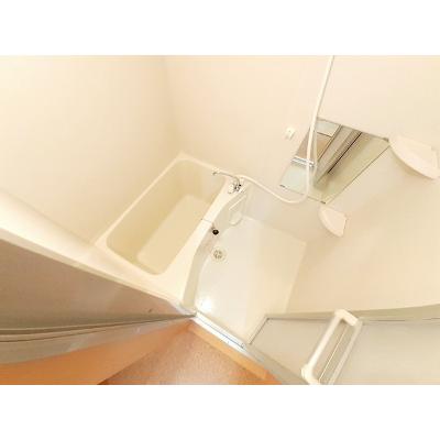 エヴァーグリーンＭ 506【管理NO：1-013786001-05050】 ★家具家電は申し込み後に搬入します★ ★2026年10月上旬入居可能★の物件写真4