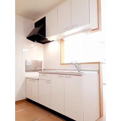 プローテ 102【管理NO：1-015346601-01020】 ★家具家電は申し込み後に搬入します★の物件写真3