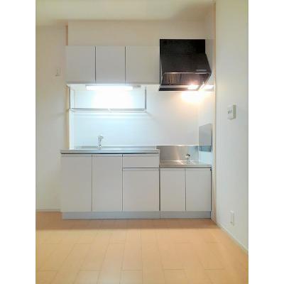 フェニックス 203【管理NO：1-017479301-02030】 ★家具家電は申し込み後に搬入します★の物件写真3