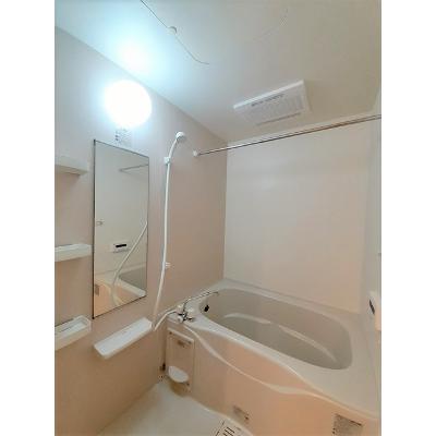フェニックス 203【管理NO：1-017479301-02030】 ★家具家電は申し込み後に搬入します★の物件写真4