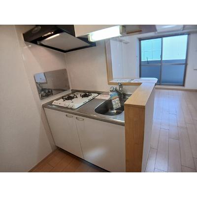 プラチナコート 907【管理NO：1-016213601-09070】 ★家具家電は申し込み後に搬入します★ ★2026年10月上旬入居可能★の物件写真3