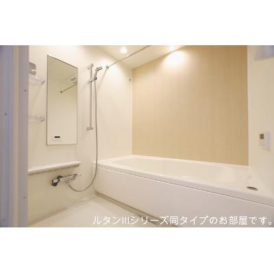 ラヴィアンローズ 302【管理NO：1-028397801-03020】 ★家具家電は申し込み後に搬入します★ ★2026年12月中旬入居可能★の物件写真4