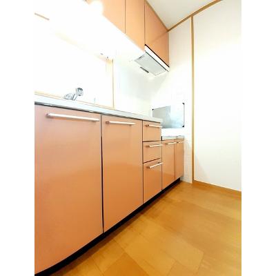 ミニヨンⅡ　Ｂ 105【管理NO：1-012184802-01040】 ★家具家電は申し込み後に搬入します★の物件写真3