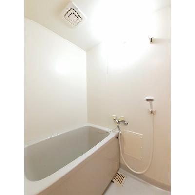 セレッソハイツＣ 201【管理NO：1-007087603-02010】 ★家具家電は申し込み後に搬入します★ ★2026年10月下旬入居可能★の物件写真4