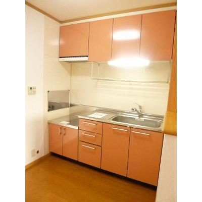 サンピエーノ高井Ａ 202【管理NO：1-012502001-02020】 ★家具家電は申し込み後に搬入します★ ★2026年10月中旬入居可能★の物件写真3