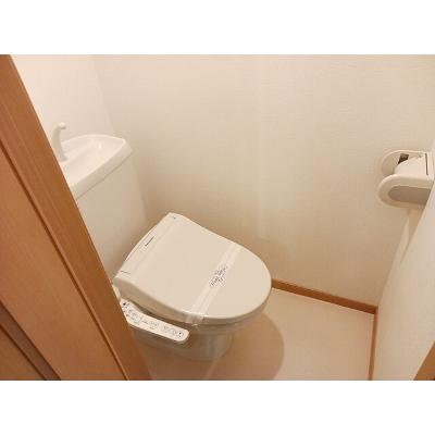 パルスター 203【管理NO：1-012304801-02030】 ★家具家電は申し込み後に搬入します★ ★2026年09月下旬入居可能★の物件写真5