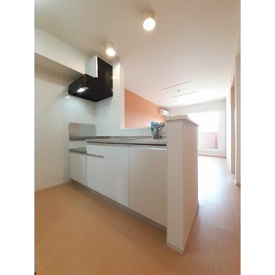 サンプリウス 202【管理NO：1-018732201-02020】 ★家具家電は申し込み後に搬入します★ ★2026年09月下旬入居可能★の物件写真3