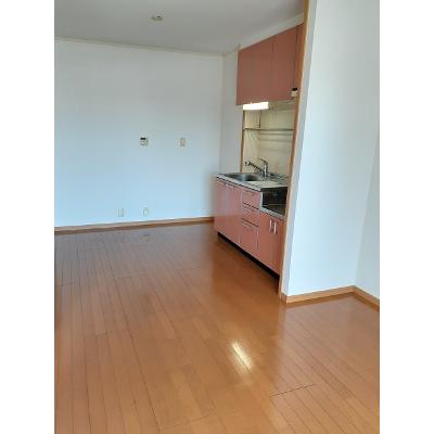 メゾングレイスＡ 203【管理NO：1-013441001-02030】 ★家具家電は申し込み後に搬入します★の物件写真2