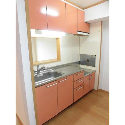 パイナリ今沢 201【管理NO：1-012902501-02010】 ★家具家電は申し込み後に搬入します★ ★2026年09月下旬入居可能★の物件写真3