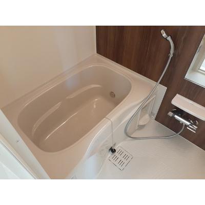 ラ・ルーチェⅡ 203【管理NO：1-026487502-02030】 ★家具家電は申し込み後に搬入します★ ★2026年10月中旬入居可能★の物件写真4