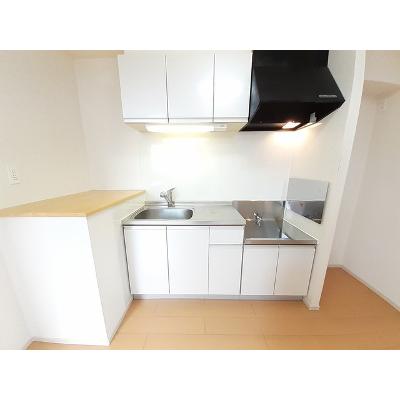 ラシア 201【管理NO：1-018280401-02010】 ★家具家電は申し込み後に搬入します★ ★2026年09月上旬入居可能★の物件写真3