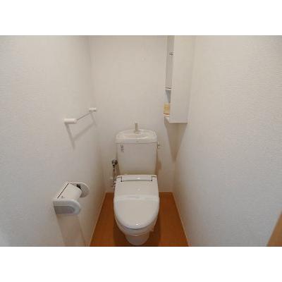 ＴＫエレガンテ 204【管理NO：1-014538201-02040】 ★家具家電は申し込み後に搬入します★ ★2026年09月下旬入居可能★の物件写真5