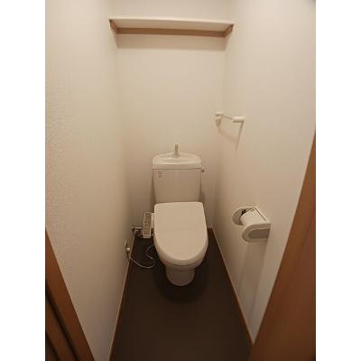 メゾンピュア 203【管理NO：1-012669201-02030】 ★家具家電は申し込み後に搬入します★ ★2026年10月中旬入居可能★の物件写真5