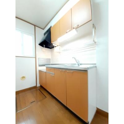 ロータス・高田Ｃ 103【管理NO：1-010127903-01030】 ★家具家電は申し込み後に搬入します★の物件写真3