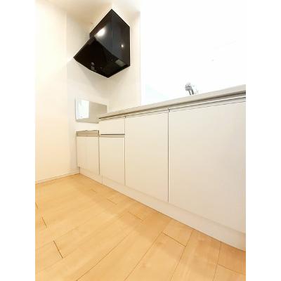 グレイス　ヌーヴォー　Ｎ 203【管理NO：1-022698502-02030】 ★家具家電は申し込み後に搬入します★の物件写真3