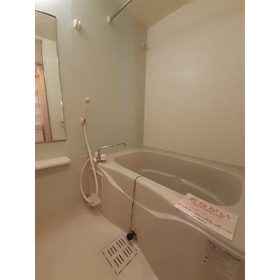 カルフール・Ｋ 101【管理NO：1-016528201-01010】 ★家具家電は申し込み後に搬入します★の物件写真4
