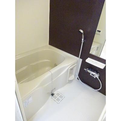 ステラ・フェリーチェ 203【管理NO：1-022399901-02030】 ★家具家電は申し込み後に搬入します★の物件写真4