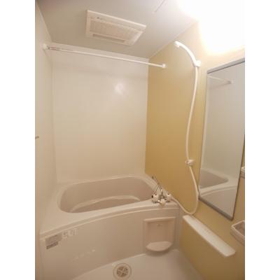 プラダ　グレイス 103【管理NO：1-014715101-01030】 ★家具家電は申し込み後に搬入します★ ★2026年10月上旬入居可能★の物件写真4