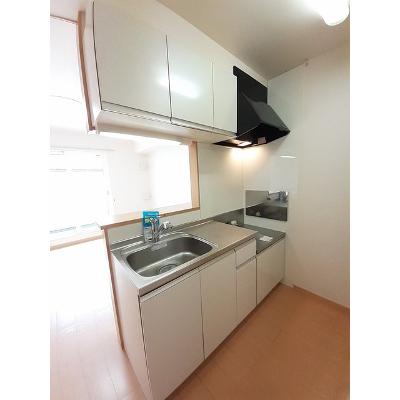 ブリアン　ドゥーエ 202【管理NO：1-016617001-02020】 ★家具家電は申し込み後に搬入します★の物件写真3