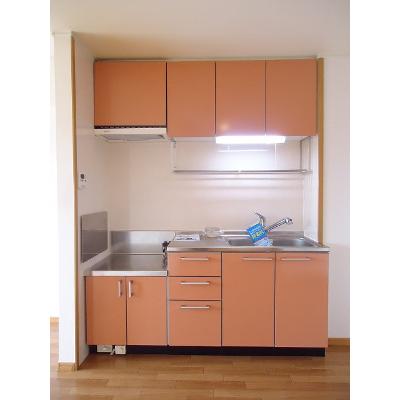 エントランス　壱番館 203【管理NO：1-013423701-02030】 ★家具家電は申し込み後に搬入します★ ★2026年09月下旬入居可能★の物件写真3