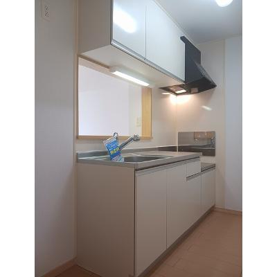 エレヴァ―トピアＤ 203【管理NO：1-015461902-02030】 ★家具家電は申し込み後に搬入します★の物件写真3