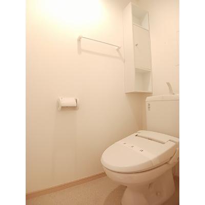 エレヴァ―トピアＤ 203【管理NO：1-015461902-02030】 ★家具家電は申し込み後に搬入します★の物件写真5