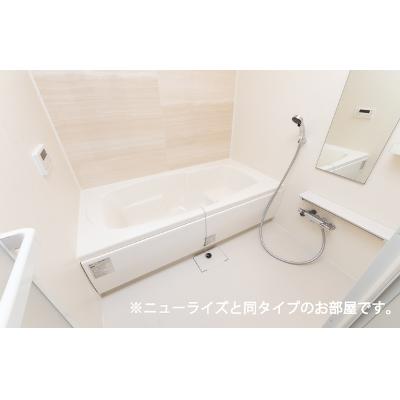 トムトックライズⅡ 202【管理NO：1-026911602-02020】 ★家具家電は申し込み後に搬入します★ ★2026年10月上旬入居可能★の物件写真4