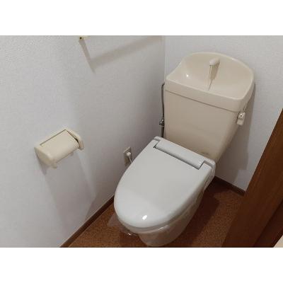 サニーヒルズⅡ 203【管理NO：1-011472501-02030】 ★家具家電は申し込み後に搬入します★ ★2026年10月上旬入居可能★の物件写真5