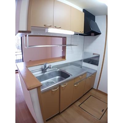 ライツ・レーベン 102【管理NO：1-011792801-01020】 ★家具家電は申し込み後に搬入します★ ★2026年11月中旬入居可能★の物件写真3