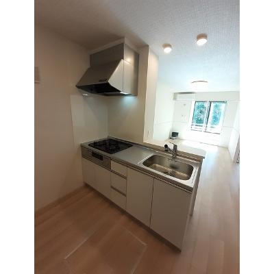 シュティル　ハイム　Ⅰ 101【管理NO：1-027239501-01010】 ★家具家電は申し込み後に搬入します★ ★2026年10月中旬入居可能★の物件写真3