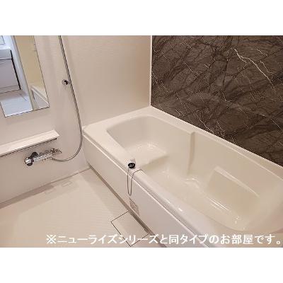 ニューライズＯＴＳＵＮＡ　Ａ 202【管理NO：1-028772501-02020】 ★家具家電は申し込み後に搬入します★ ★2027年02月上旬入居可能★の物件写真4